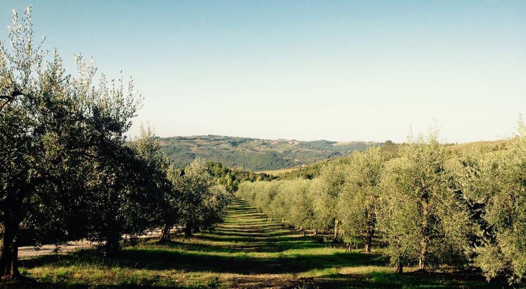 Podere Le Corone Vila Monte Castello di Vibio Exterior foto